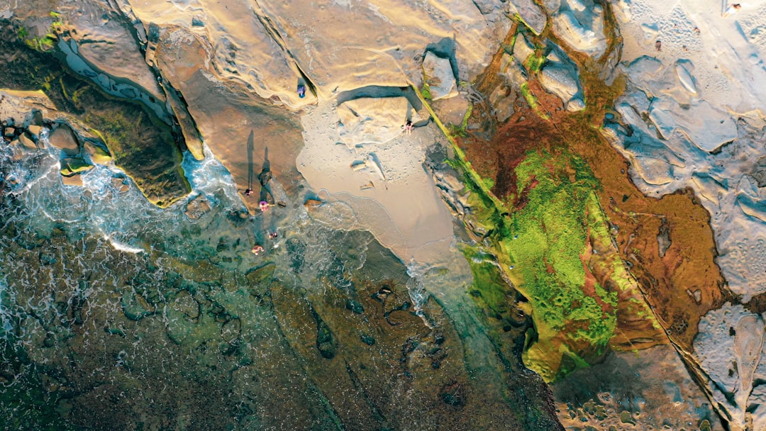 GIS Professional Certification